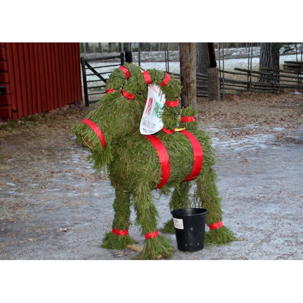 Julbocken