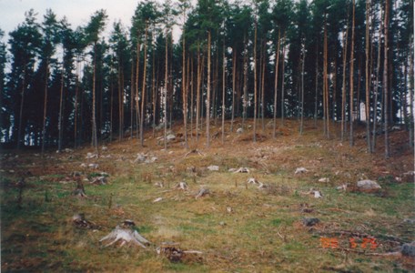 Ruben 10 - Skällberga kohage järnåldersgravfält