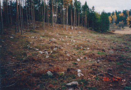 Ruben 11 - Skällberga kohage järnåldersgravfält