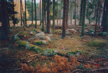 Ruben 12 - Skällberga kohage järnåldersgravfält