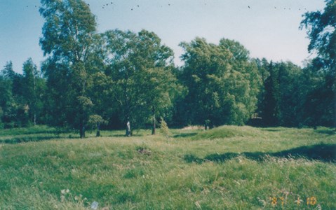 Ruben 4 - Sille gravfält från järnåldern