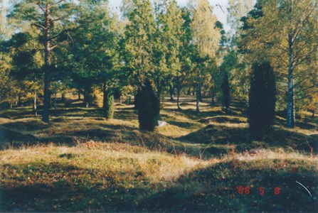 Ruben 7 - Björke hage gravfält från järnåldern
