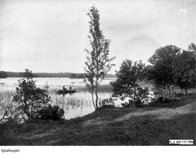 Foto Sjöaltesjön 2
