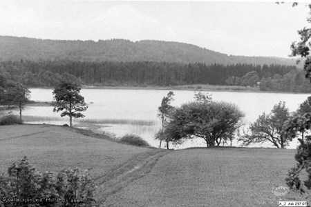 Foto Sjöaltesjön 1