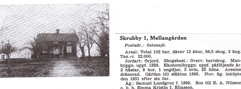 Skrubby 1939 (3).jpg