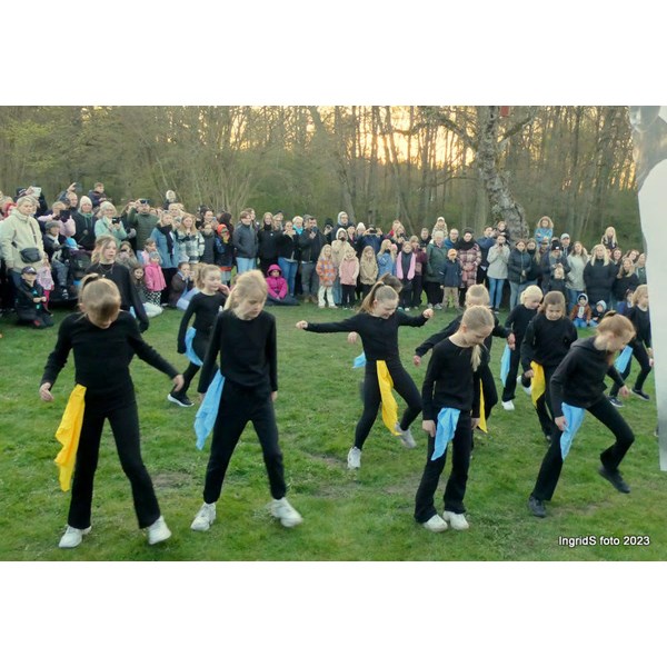 Dansbruket