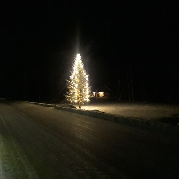 Julgranen är tänd