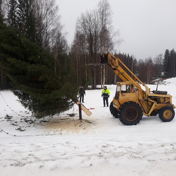 Resning av julgran